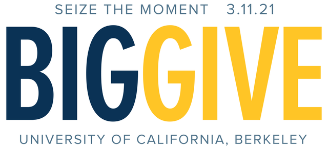 Big Give 2021